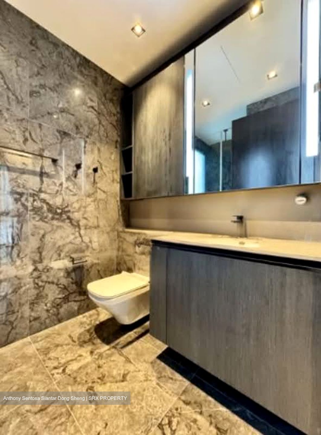 3 Cuscaden (D10), Apartment #602866261